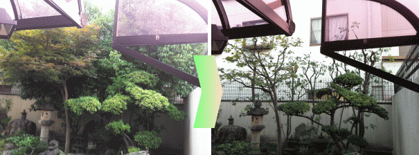 施工事例、マキとカシ