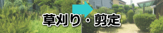 遺品整理と不用品回収時の草刈り、剪定もやってます