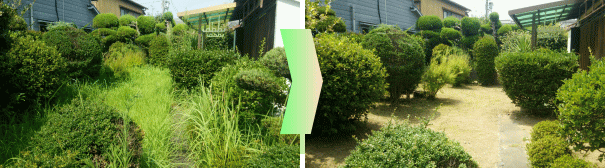 施工事例、いい雰囲気の植木の剪定と草刈り